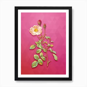 Vintage Sparkling Rose Botanical Art on Beetroot Purple n.0860 Art Print