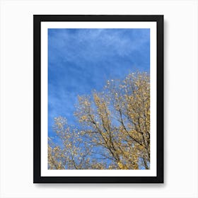 Autumn Trees Against A Blue Sky Art Print