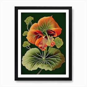 Nasturtium Herb Vintage Botanical Art Print