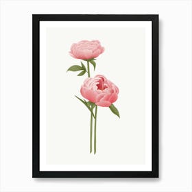 Pink Peony Flower Illustration Art Print