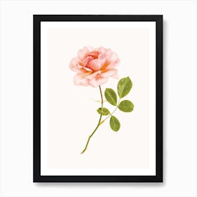Roses I Art Print