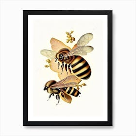 Wax Bees 1 Vintage Art Print