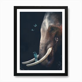 Portrait Of An Elephant Art Print