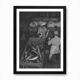 Untitled Photo, Possibly Related To Tuna Being Packed In Ice, Astoria, Oregon By Russell Lee Art Print