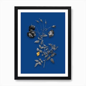 Vintage Red Rose Black and White Gold Leaf Floral Art on Midnight Blue n.0811 Art Print