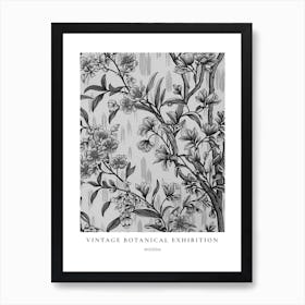 Wisteria 2 B&W Vintage Botanical Poster Art Print