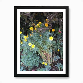 Floral Garden in Kodaikanal, India. Photograph 27 Art Print