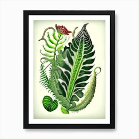 Hart's Tongue Fern Wildflower Vintage Botanical 2 Art Print