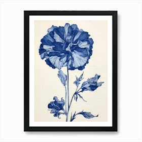 Blue Botanical Carnation 6 Art Print