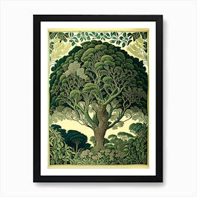 Atherton Tableland S Curtain Fig Tree, Australia Vintage Botanical 1jpeg Art Print