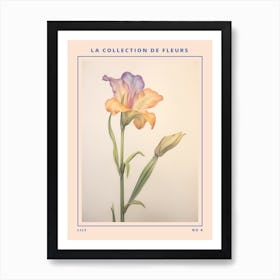 Lily 4 French Flower Botanical Poster Art Print