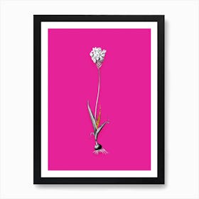 Vintage Chincherinchee Black and White Gold Leaf Floral Art on Hot Pink n.0729 Art Print