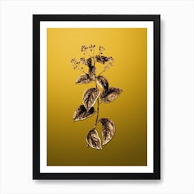 Gold Botanical New Jersey Tea on Mango Yellow n.3582 Art Print