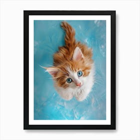 Cute Kitten With Blue Eyes Art Print