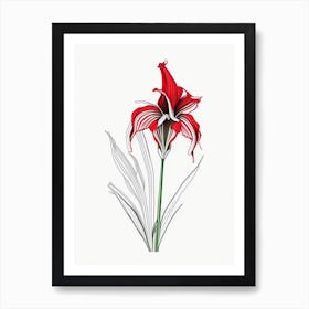 Amaryllis Floral Minimal Line Drawing 1 Flower Art Print