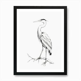 Great Blue Heron Art Print