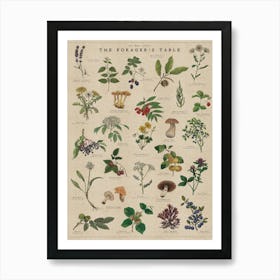 Forager's Table Artwork - Foraging Wild Food Art Print Art Print