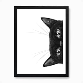 Black Cat Ii Art Print
