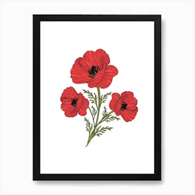 Poppies Art Print