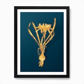 Vintage Sea Daffodil Botanical in Gold on Teal Blue n.0317 Art Print