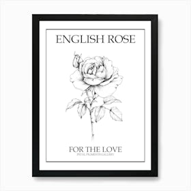 English Rose Black And White Line Drawing 1 Poster Art Print