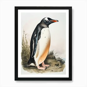 Adlie Penguin Livingston Island Vintage Botanical Painting 1 Art Print