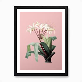 Vintage Crinum Erubescens Botanical on Soft Pink n.0905 Art Print