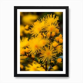 Yellow Flowers Art Print