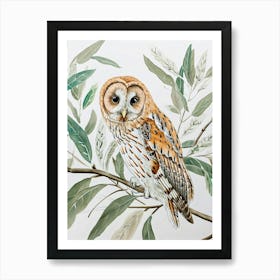 Tawny Owl Marker Drawing 1 Art Print