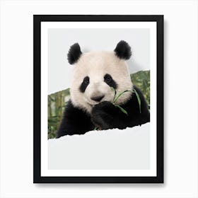 Panda Torn Paper Art Print