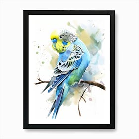 Budgie Watercolor Painting Colorful Illustration Art Print