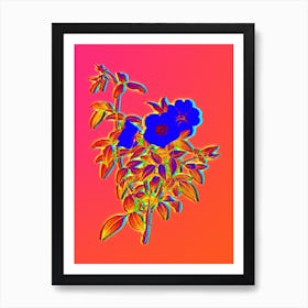 Neon White Rose of Snow Botanical in Hot Pink and Electric Blue n.0114 Art Print