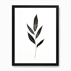 Black Leaf Art Print