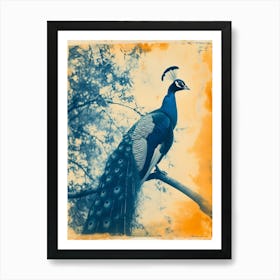 Vintage Photo Of Orange & Blue Peacock  1 Art Print