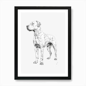 Dogo Argentino Dog Line Sketch 2 Art Print