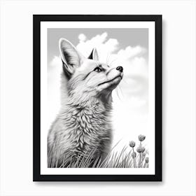 Bengal Fox Portrait Pencil Drawing 1 Art Print