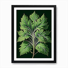 Lovage Leaf Vintage Botanical 1 Art Print