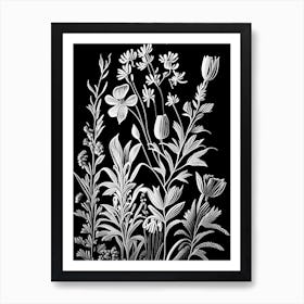 Veronica Wildflower Linocut Art Print