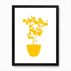 Yellow Eucalyptus Plant In A Pot Art Print