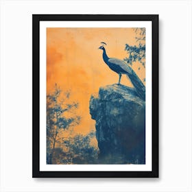 Orange & Blue Peacock On A Rock 2 Art Print