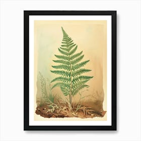 Vintage Illustration Sensitive Fern 1 Art Print