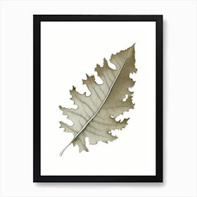 Oak Leaf 2 Art Print