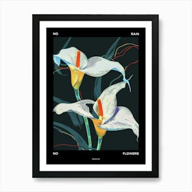 No Rain No Flowers Poster Calla Lily 4 Affiche