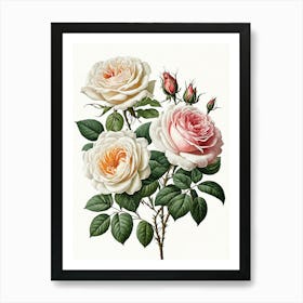 Vintage Galleria Style Rose Art Painting 19 Art Print