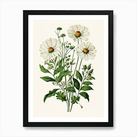 Vintage Botanical Galleria Style Wildflower Painting 43 Art Print