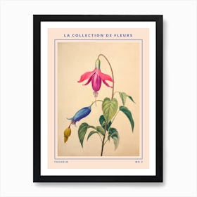 Fuchsia 2 French Flower Botanical Poster Art Print