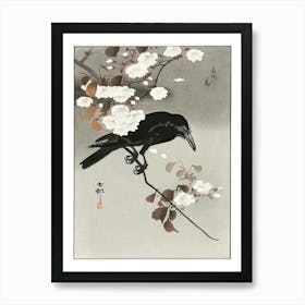 Crow And Cherry Blossom (1930 1975), Ohara Koson Art Print