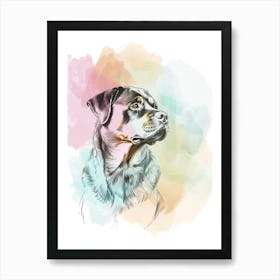 Watercolour Rottweiler Dog Line Illustration 1 Art Print