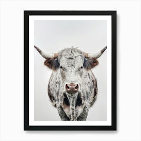 Longhorn Bull 2 Art Print