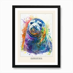 Elephant Seal Colourful Watercolour 1 Poster Art Print